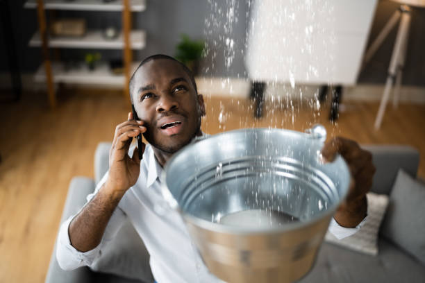 Best Carpet water damage restoration  in Arlington, VA