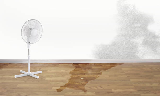 Best 24/7 water damage repair  in Arlington, VA