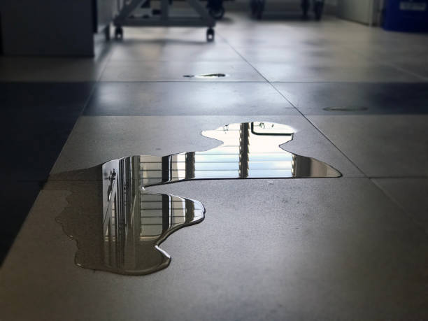 , VA Water damage restoration Company