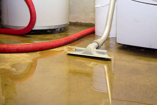 Best Flood damage cleanup  in Arlington, VA