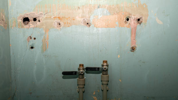 Best Water damage restoration mold remediation  in Arlington, VA