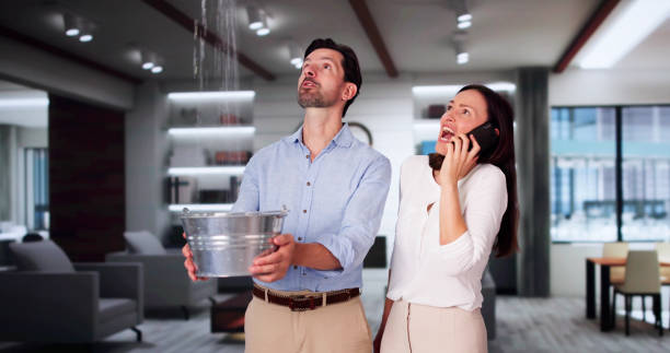  Arlington, VA Water damage restoration Pros
